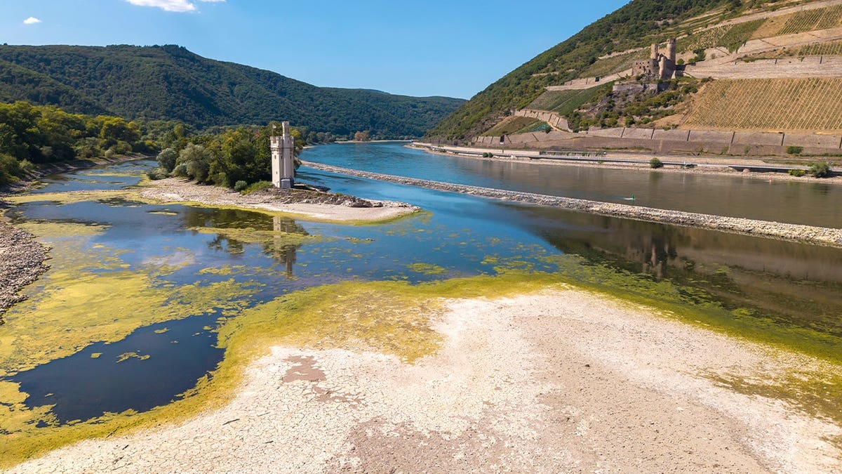 View of dried-up Rhine River with castle in background