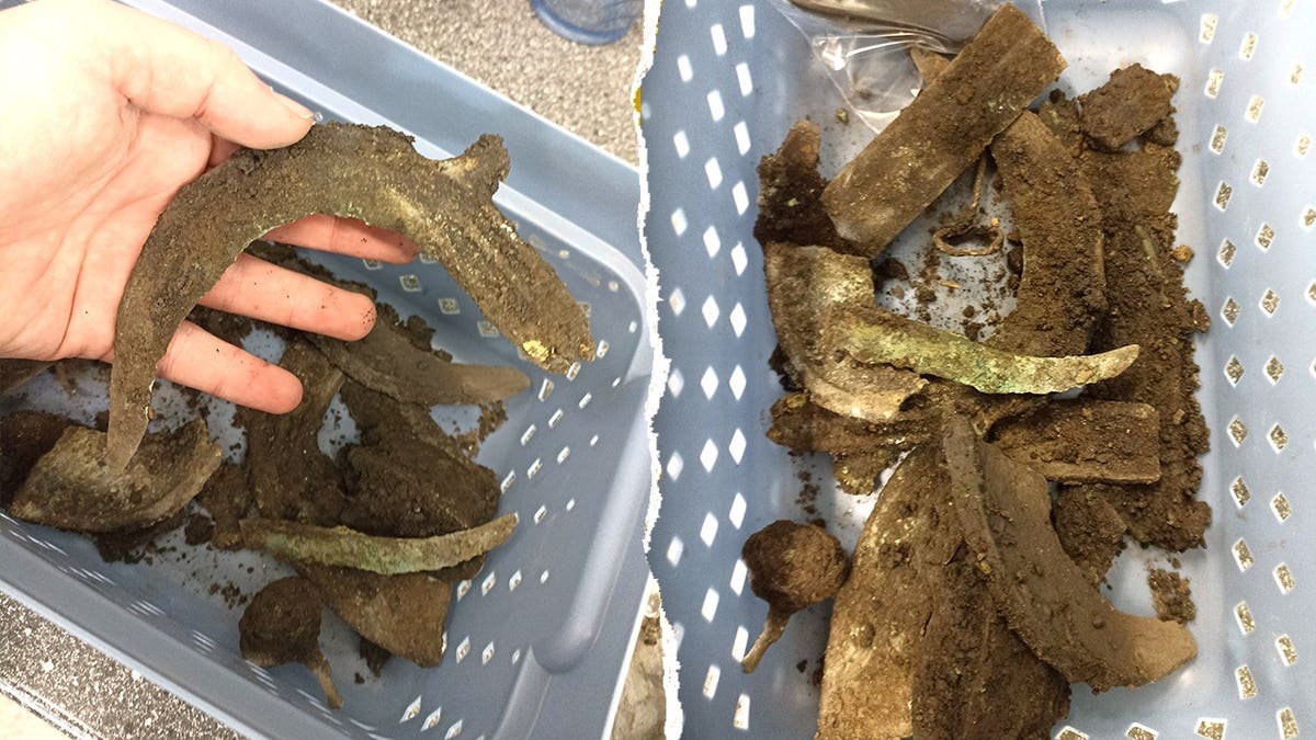 Split image of archaeologists holding artifacts