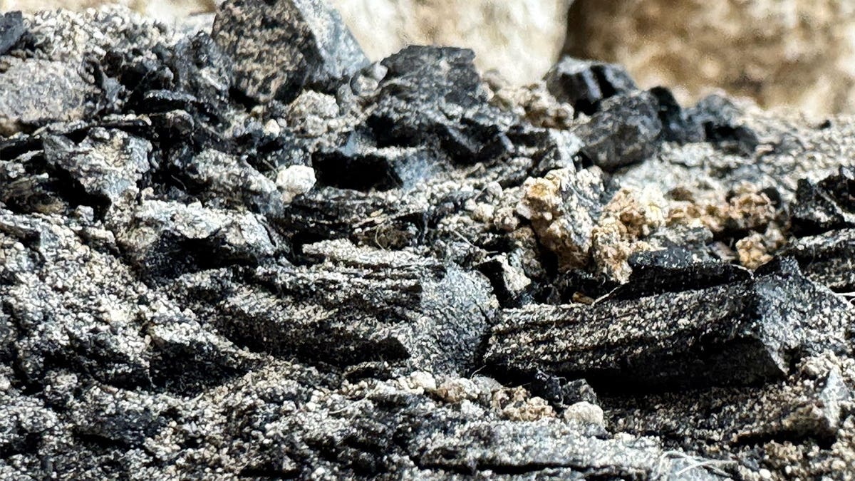 View of charred wood