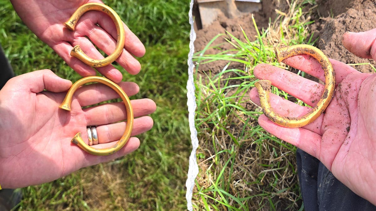 Two metal detectorists found three Bronze Age gold torcs near