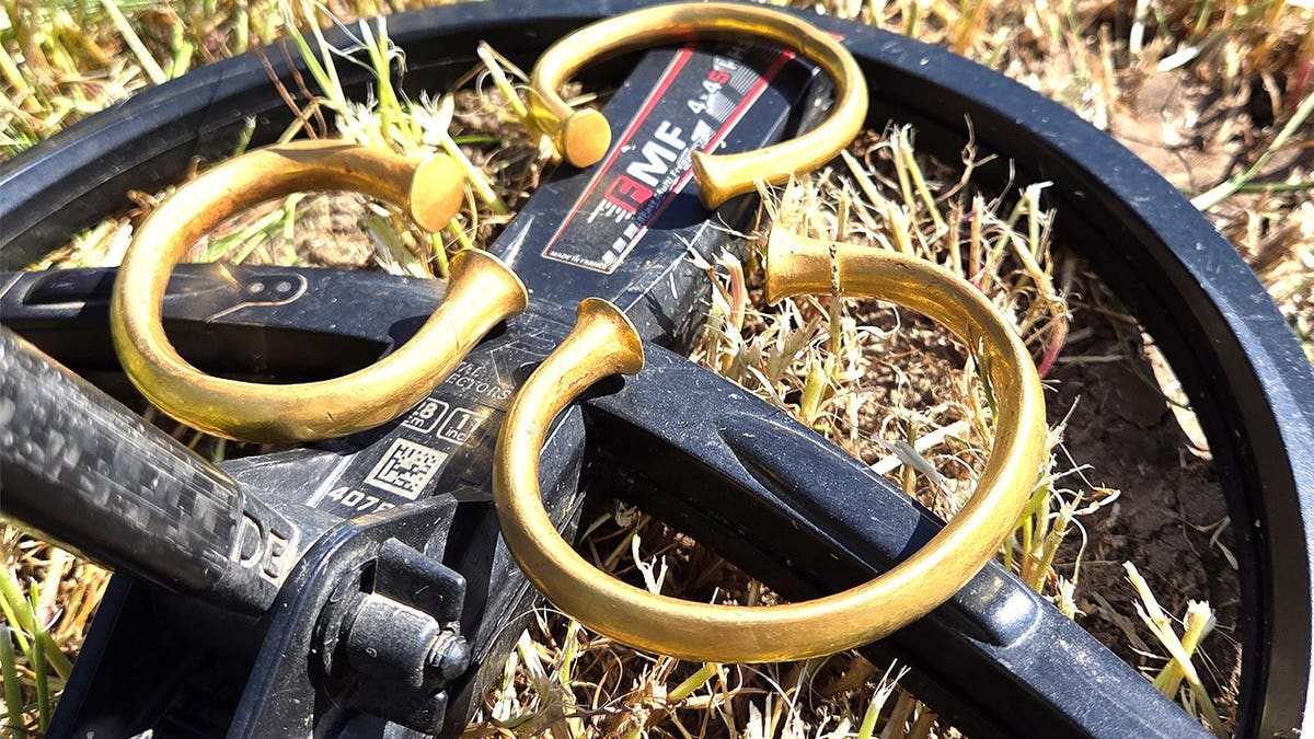 Two metal detectorists found three Bronze Age gold torcs near
