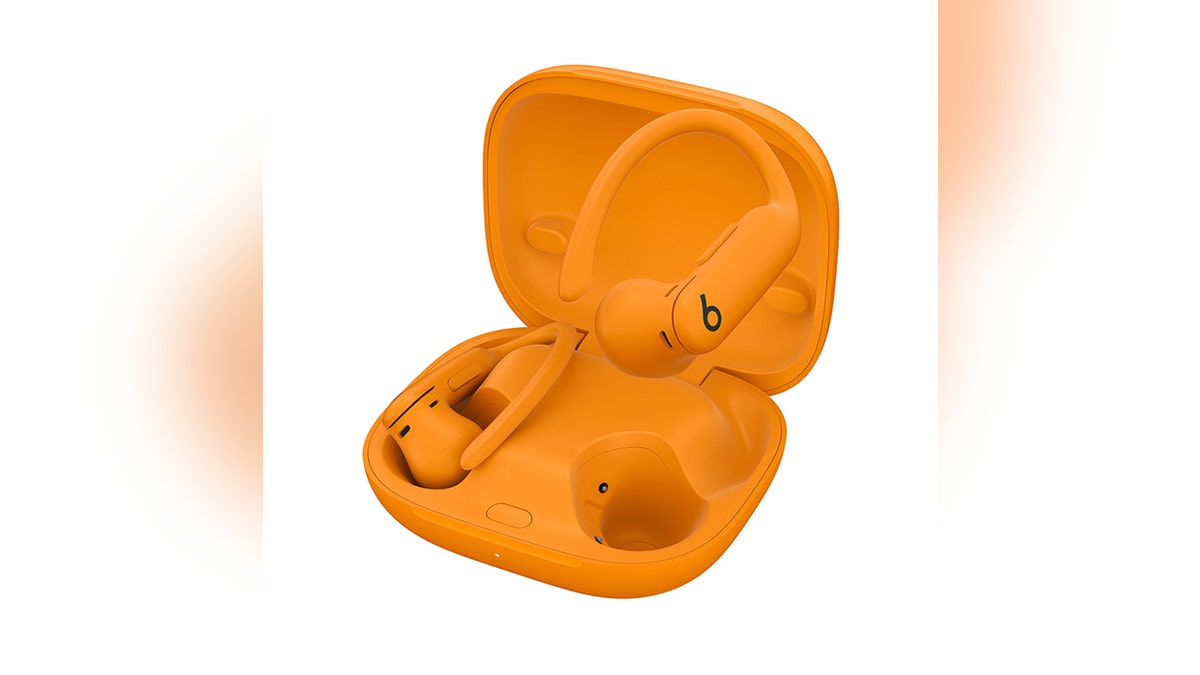Ear hooks keep these earbuds secure.