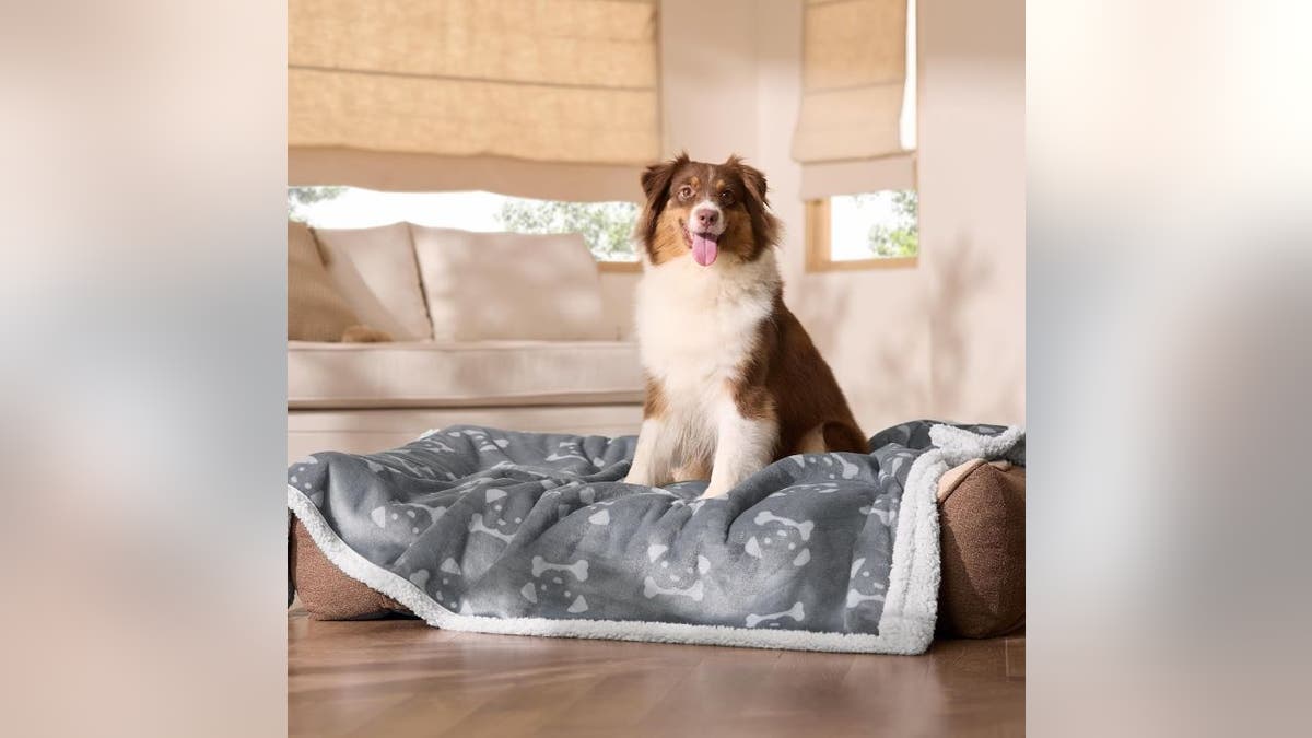 Protect your couch or pet beds with a waterproof blanket.