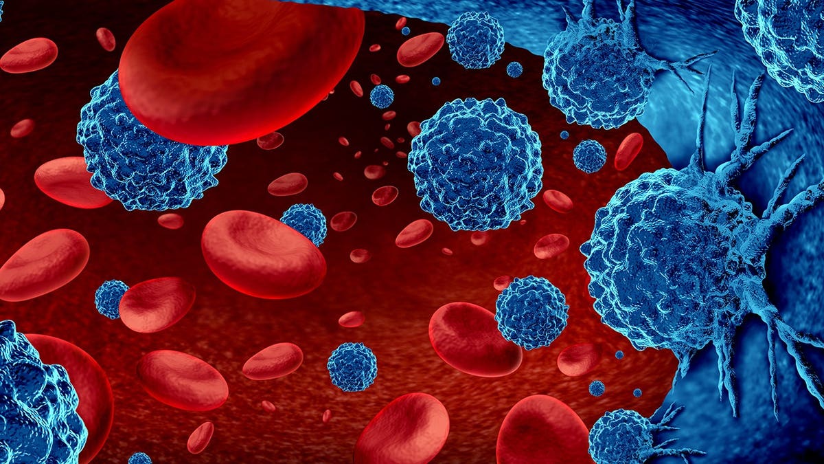 3D medical illustration of cancer cells and immunotherapy treatment.