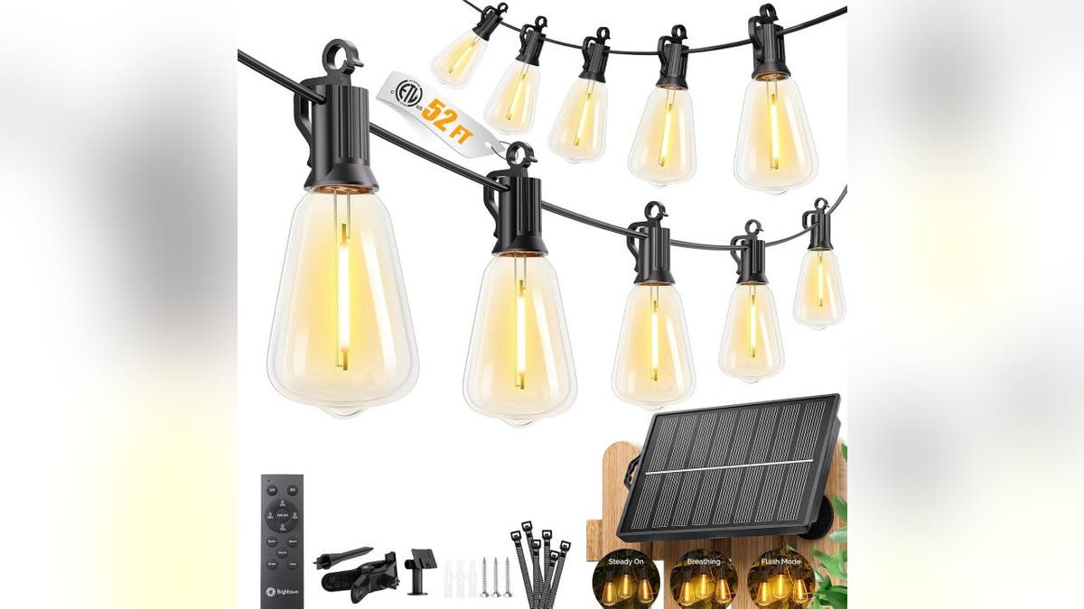 These solar lights recharge in the sun.