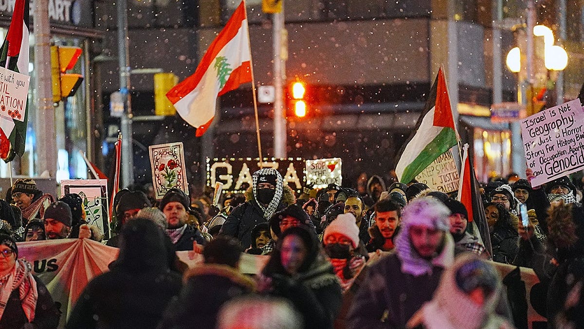 Pro-Gaza protestors march in Canada