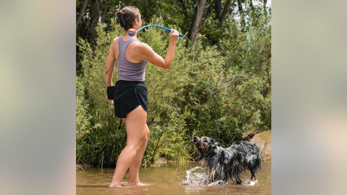 Play the best game of fetch.