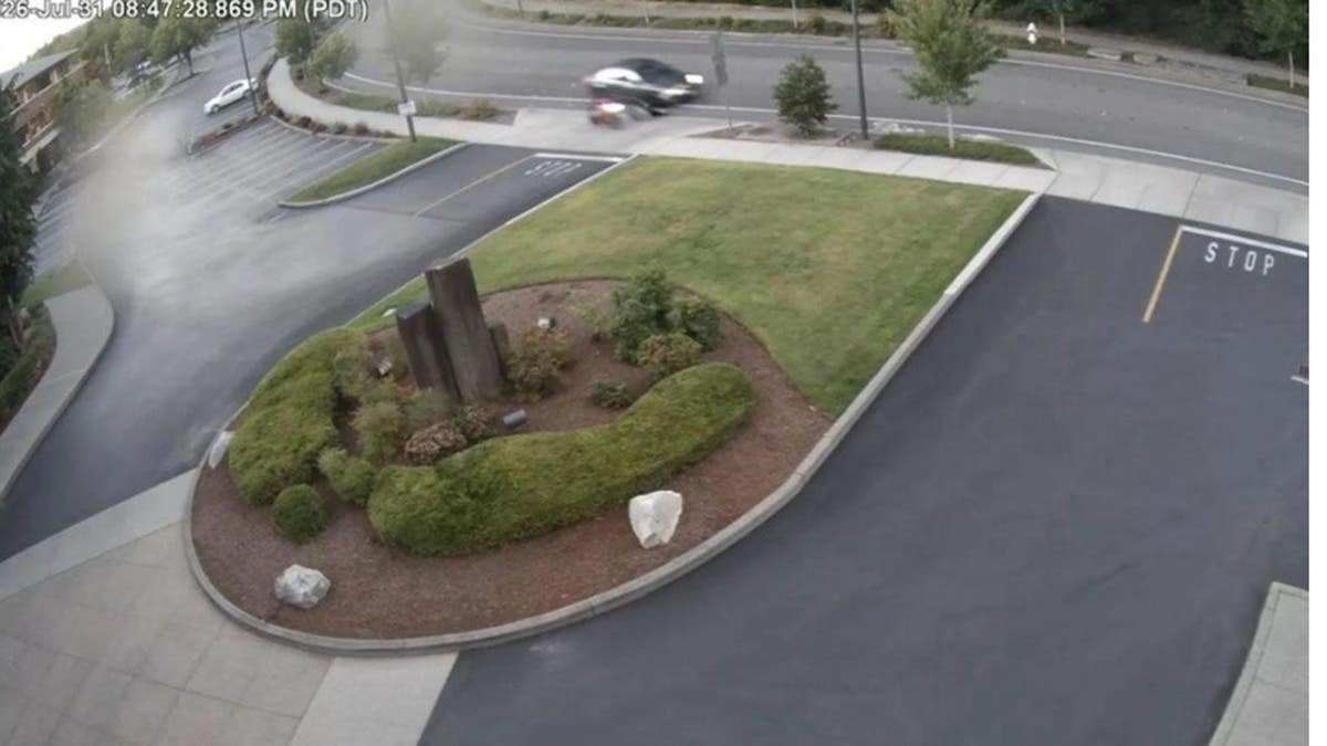 Costco employee security video