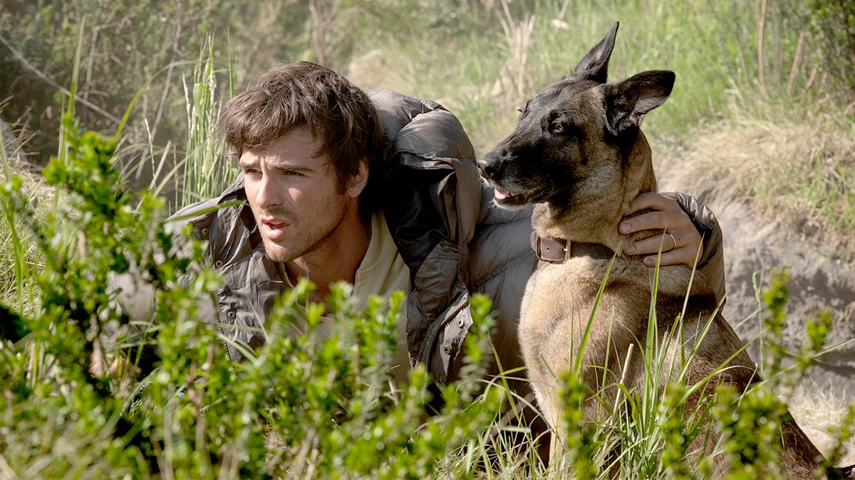 The Dog Stars still