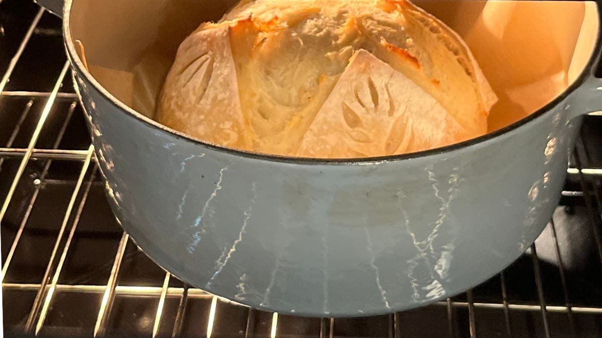 blue cuisinart dutch oven containing a sourdough loaf in an oven