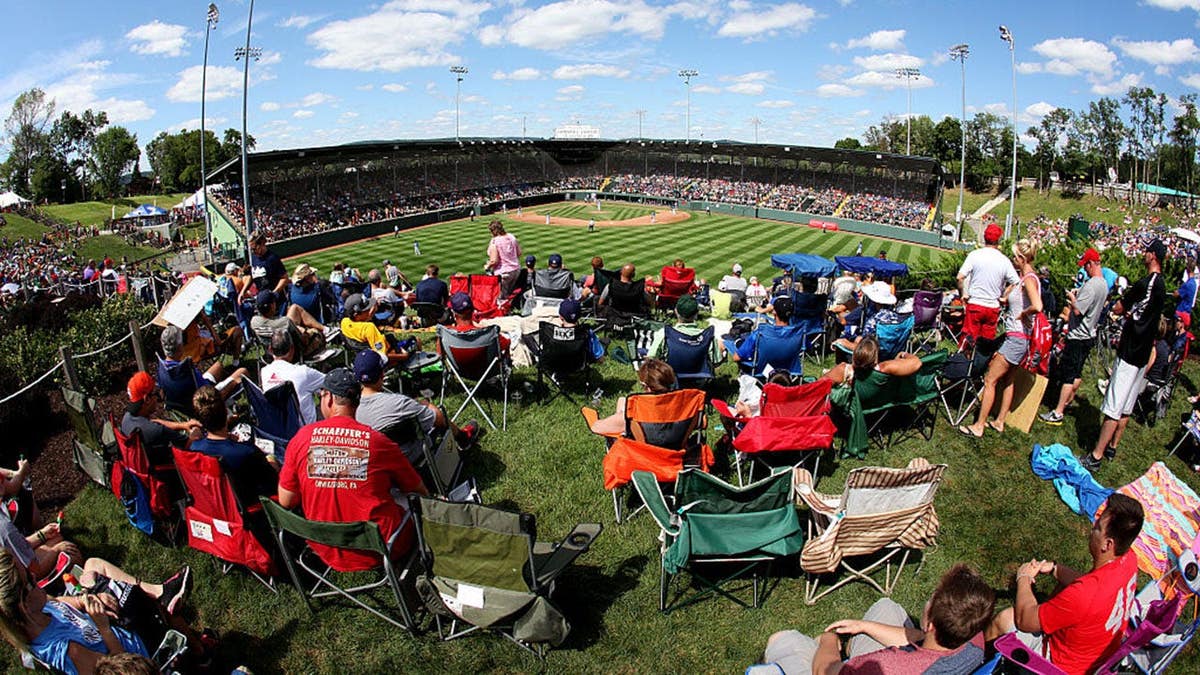 Fans watch from a hill overlooking Lamade Stadium during the Little League World Series.