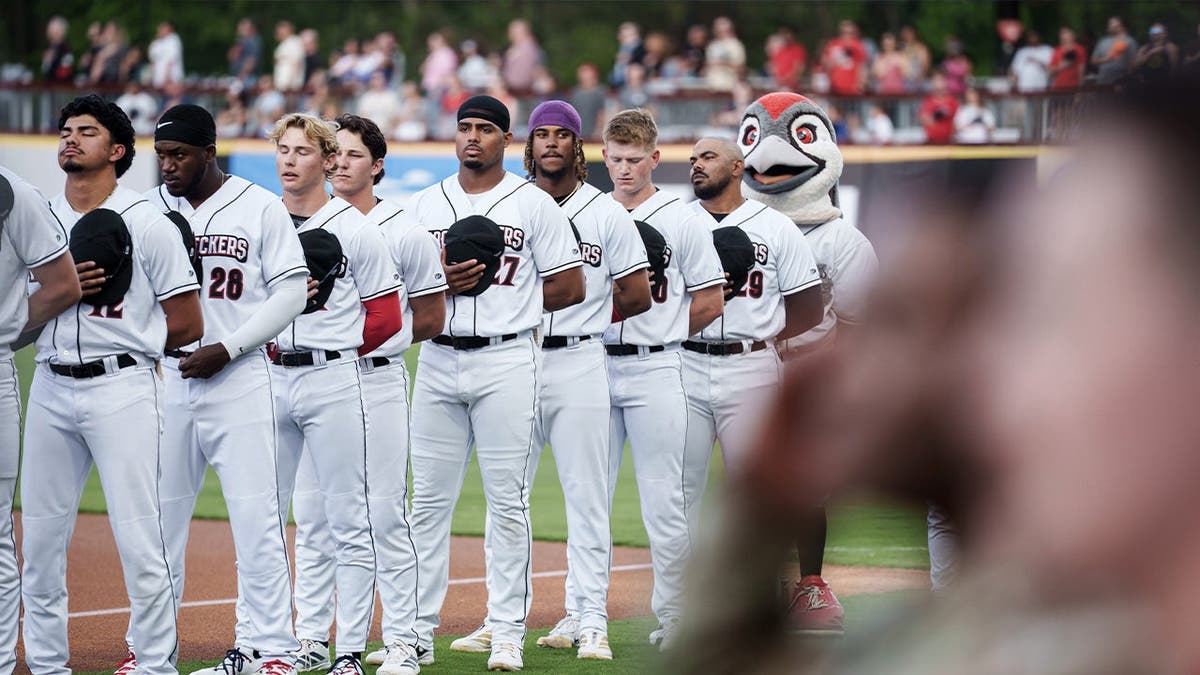 Fayetteville Woodpeckers