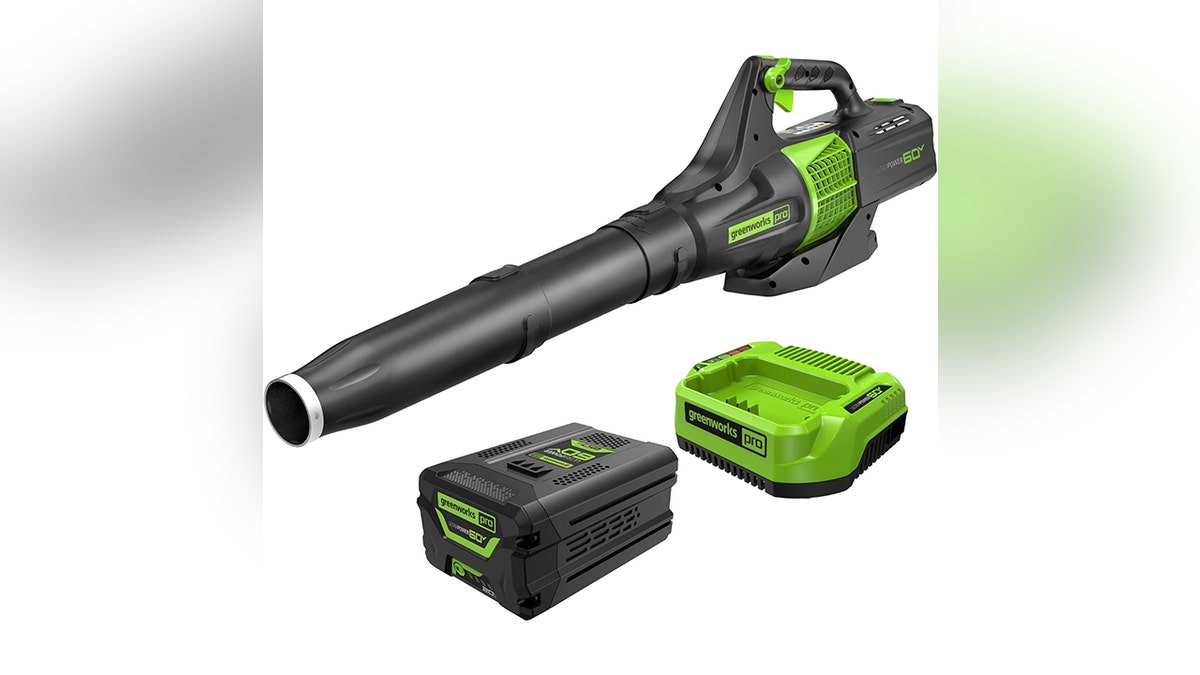 Power through fall leaves fast using a cordless leaf blower.