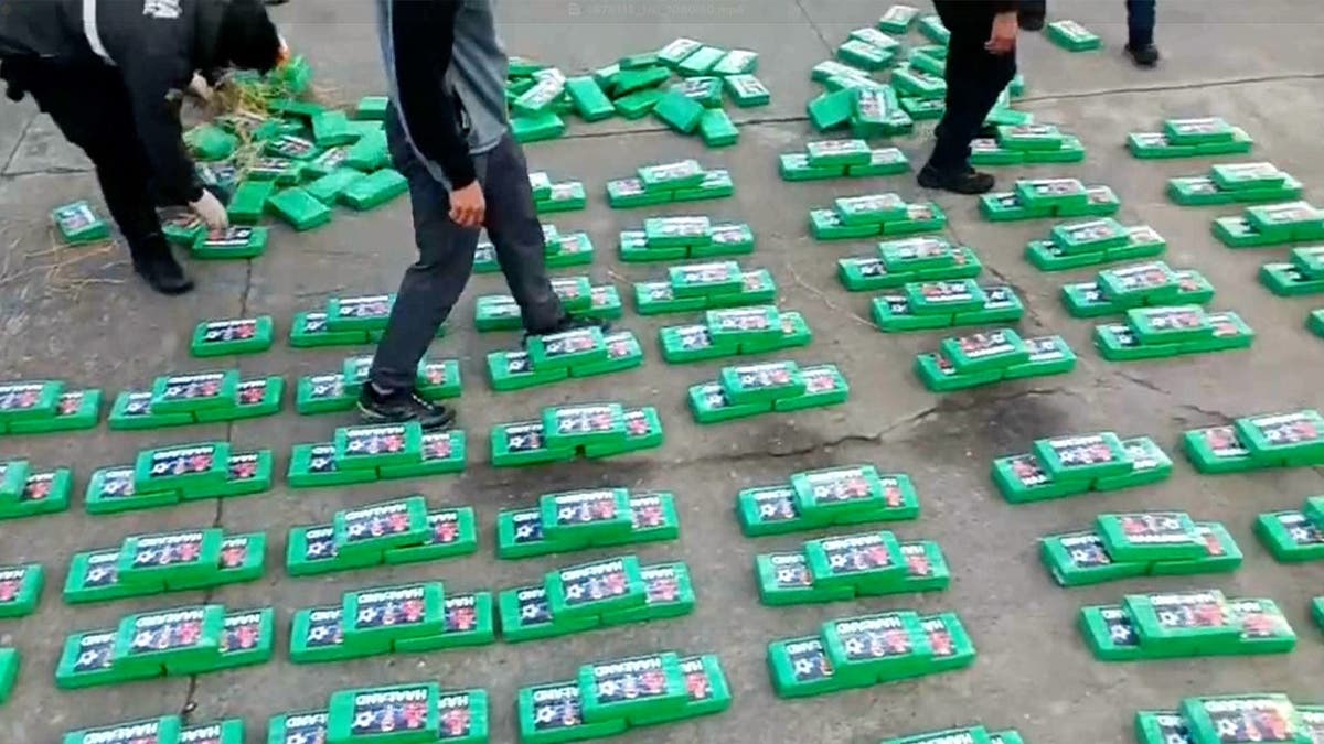 Erling Haaland cocaine bricks