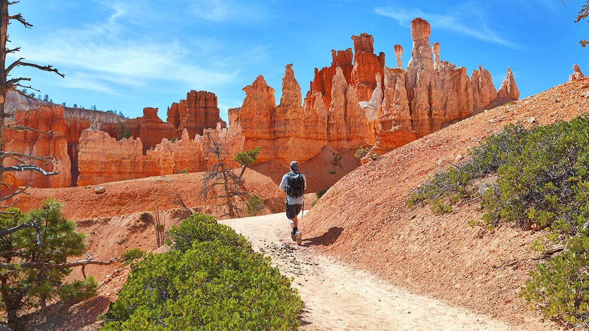 Young man hiking on Peekaboo trail loop in Bryce Canyon National Park.
