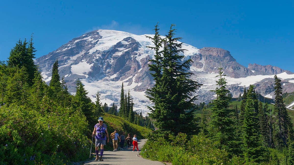 Hikers walk on the Skyline Trail with Mount Rainier visible in the background.