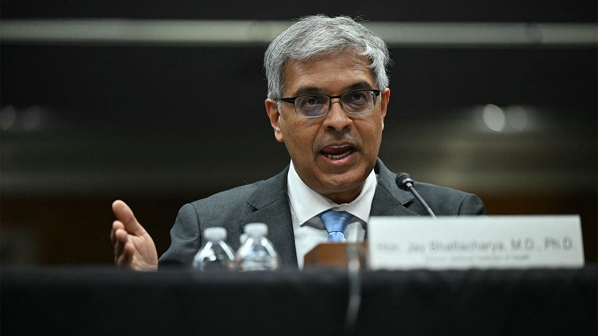 Jayanta Bhattacharya speaks during a Senate Appropriations Subcommittee hearing on Capitol Hill.