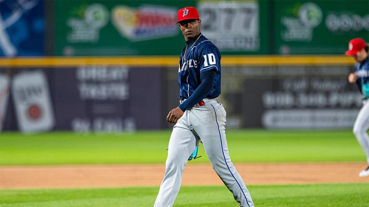 Jefry Yan of the Binghamton Rumble Ponies reacts