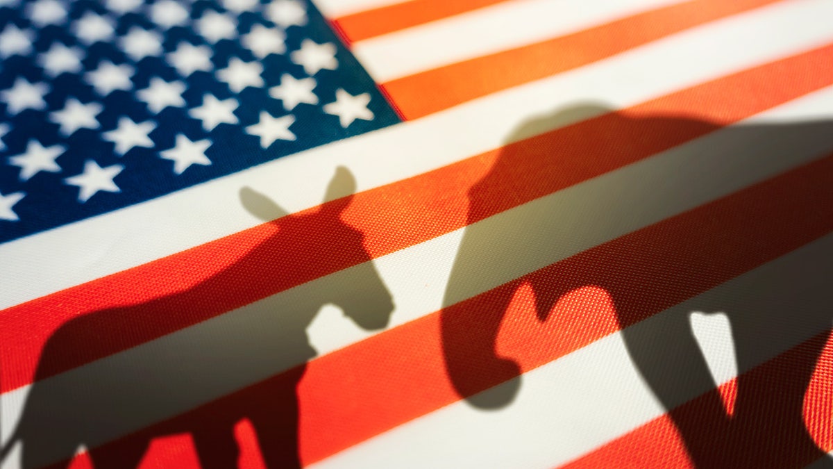 Republican and Democrat symbols with American Flag