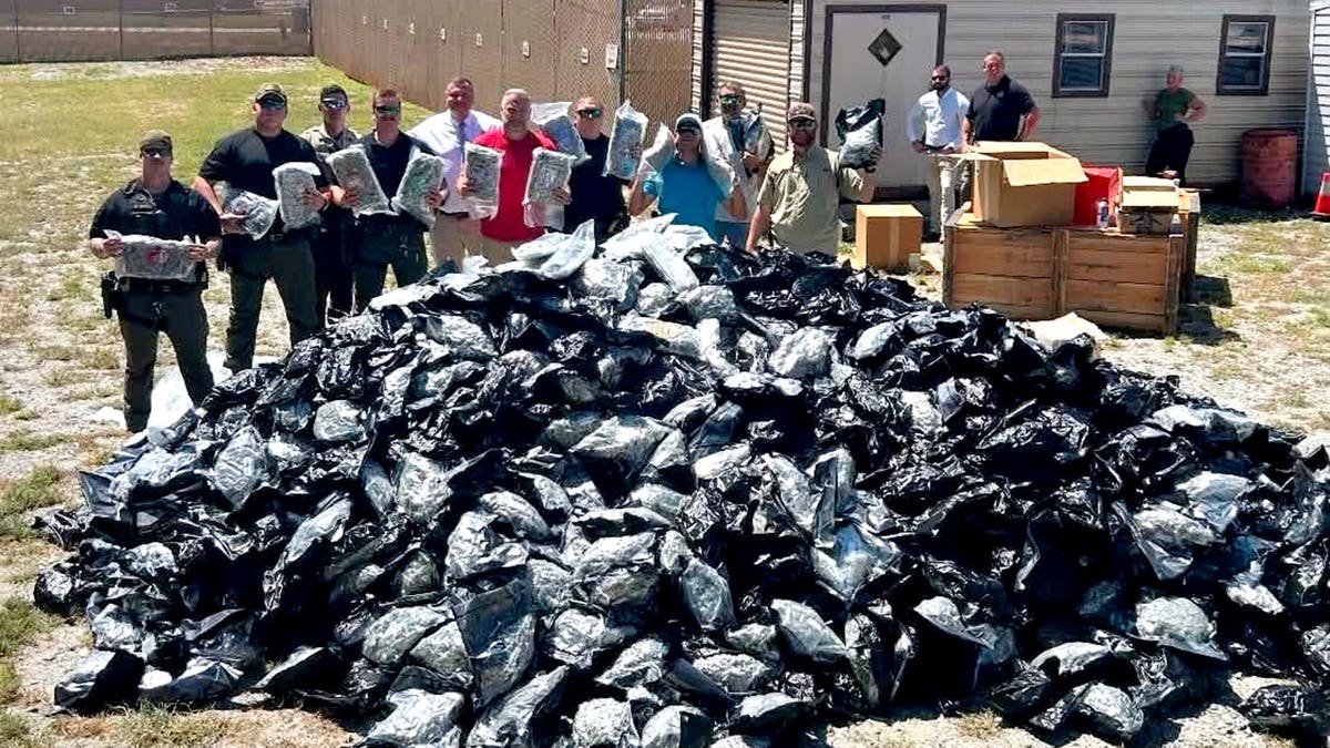 Officials standing near a mountain of suspected black market marijuana in plastic bags