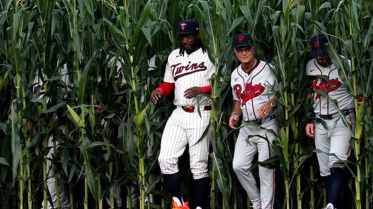 Minnesota Twins and Philadelphia Phillies members walk out of a corn field.