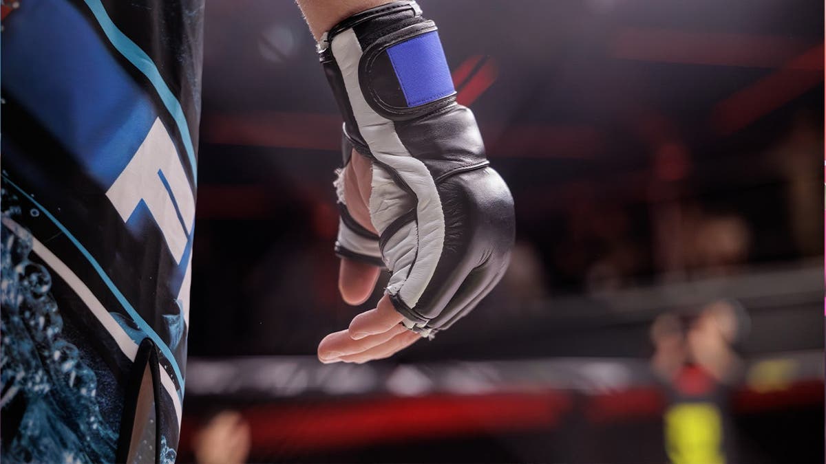 MMA glove