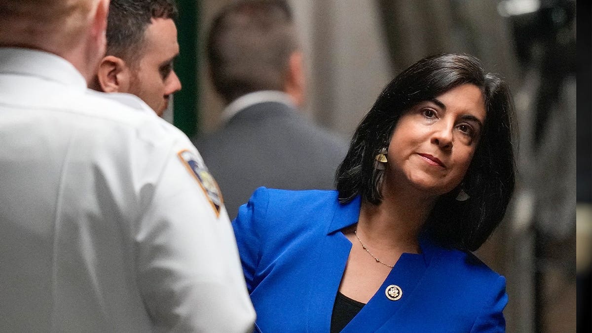 Nicole Malliotakis Says a Snow-Shovel ID Proves Her Point About Voting. The Bill She Voted For Wouldn't Accept One.