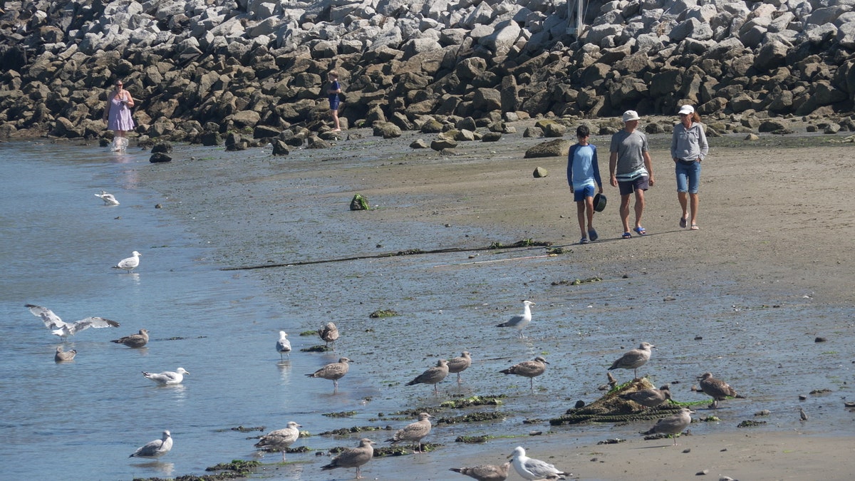 People at Maine beach
