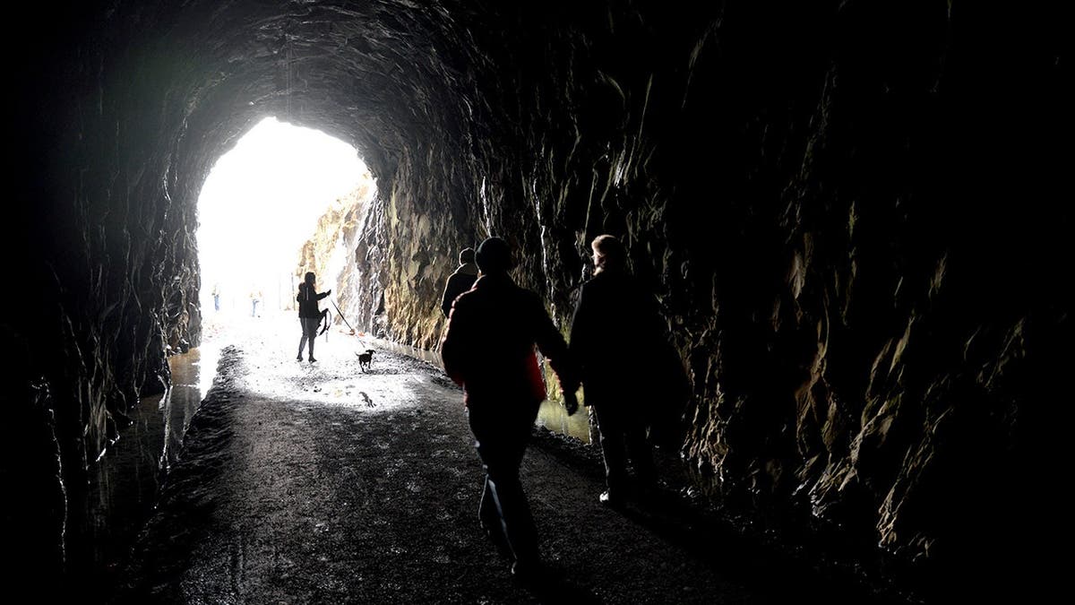 Old railroad tunnel entrance situated below the Blue Ridge Mountains.