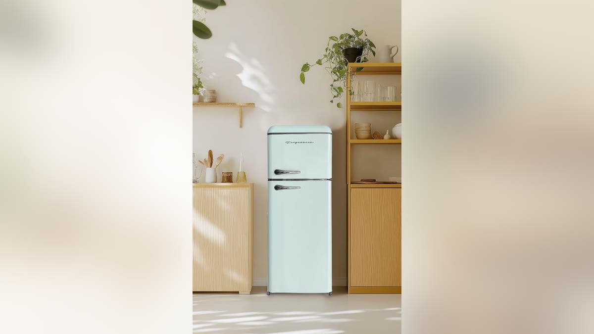 This retro-style fridge fits into most small spaces.