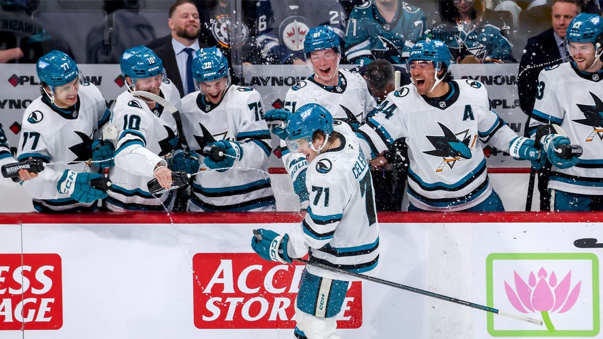 San Jose Sharks bench