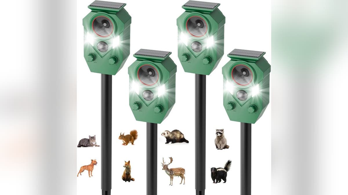 Keep deer, cats, squirrels and other larger animals away from your gardens.