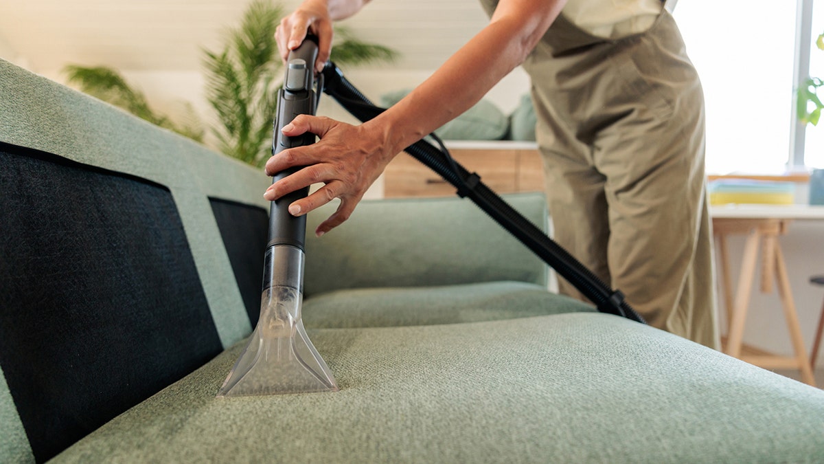 A deep clean helps prevent unwanted pests.