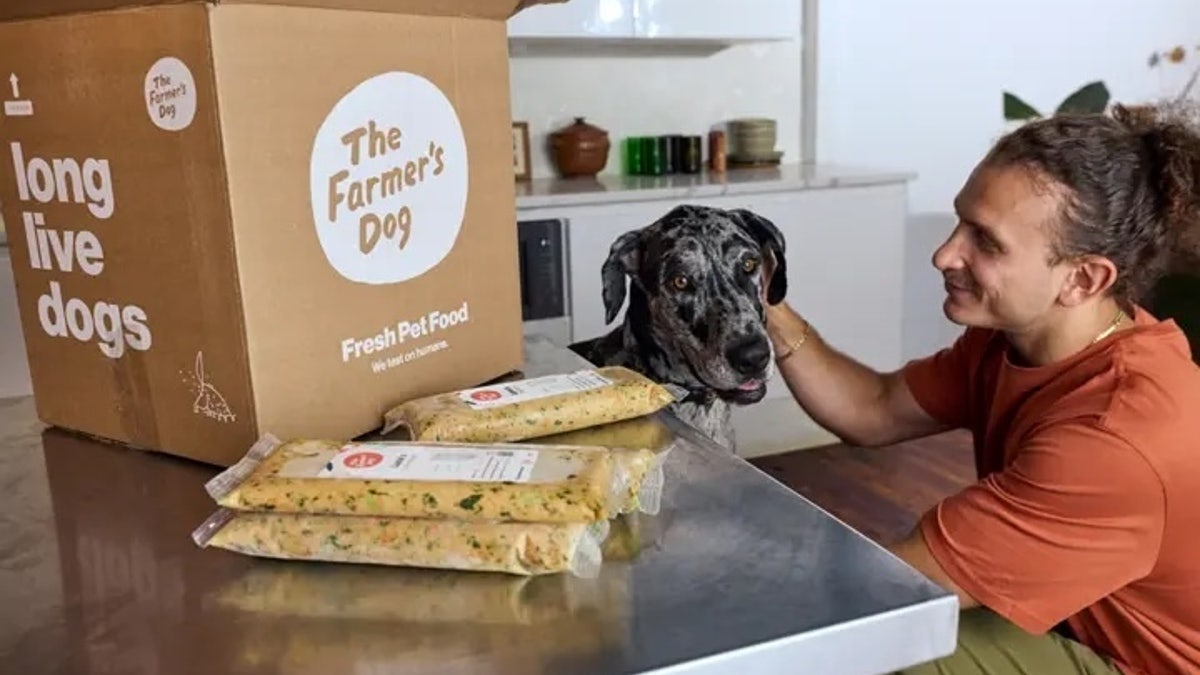 Serve human-grade food to your pup.