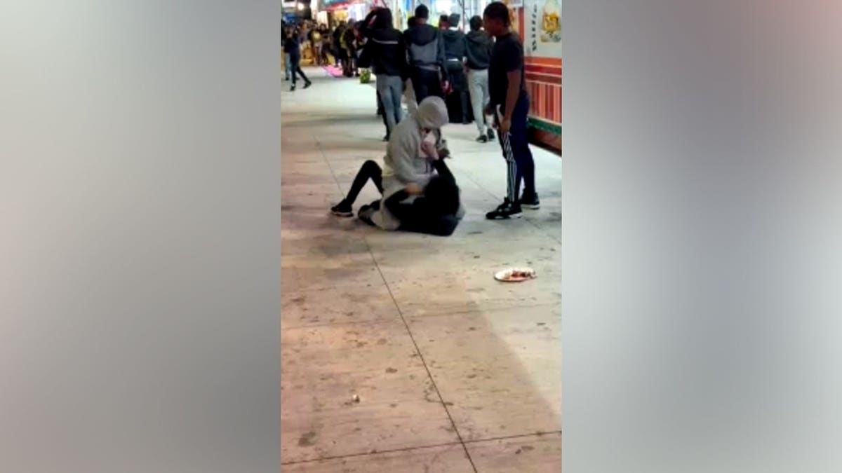 People fighting at the Wisconsin State Fair