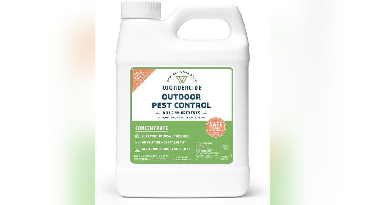 Combat ants, roaches, spiders and other pests.