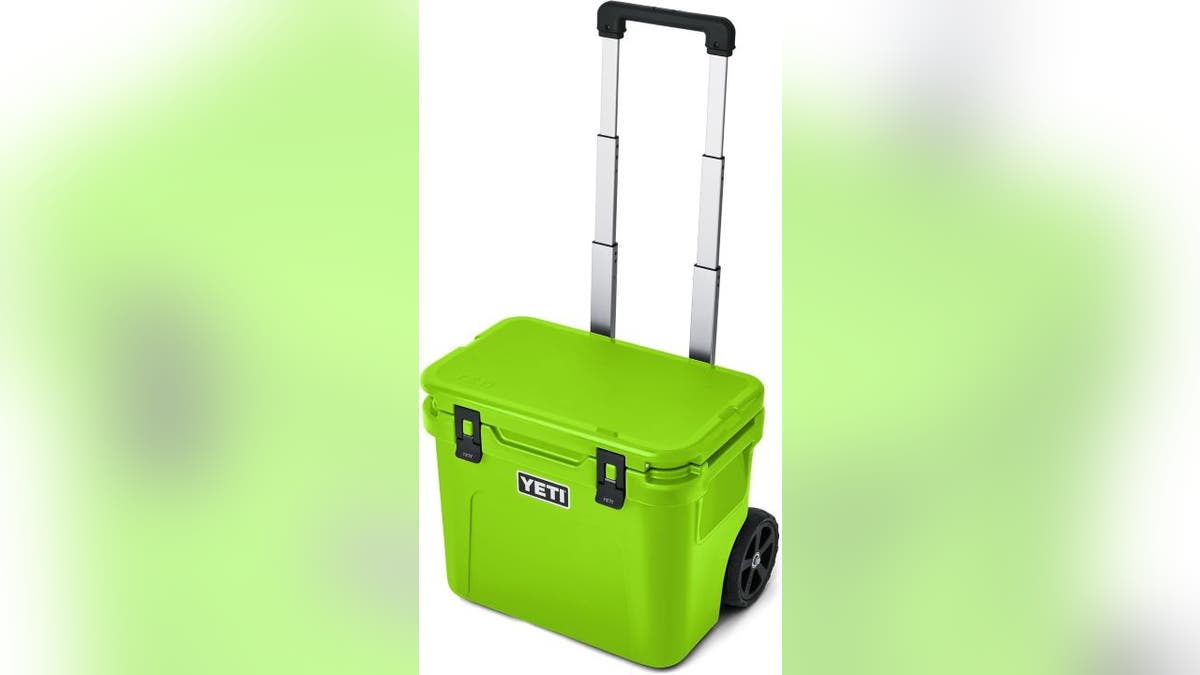 Carry 32 cans in this cooler.