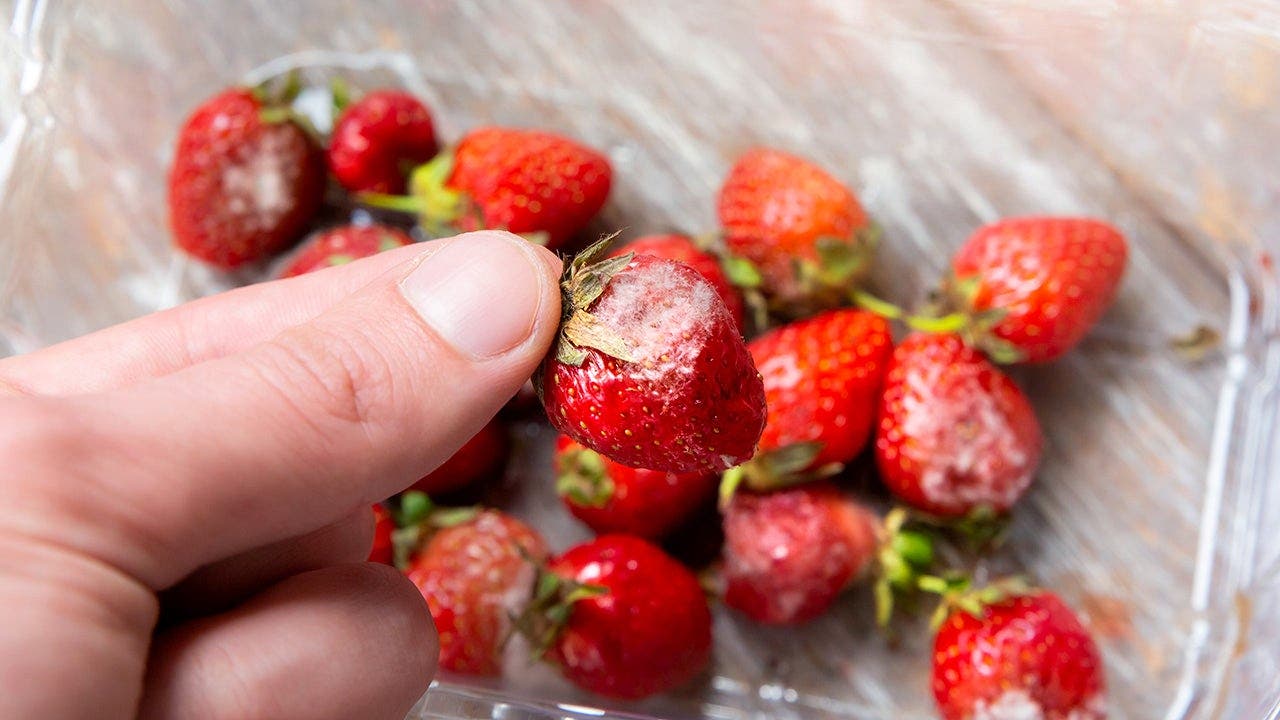 foxnews.com - Teresa Mull - Seaweed-based coating could keep strawberries fresh for days without refrigeration, study finds