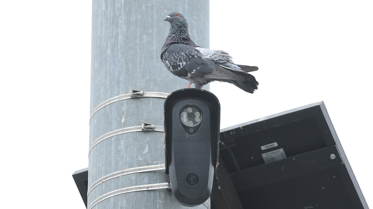 Sanders Pledges Bill Targeting Flock Surveillance