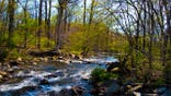 Scenic views of forested landscape and waterfall at Cunningham Falls State Park, Maryland.