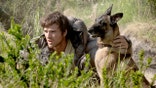 The Dog Stars still