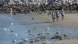 People at Maine beach