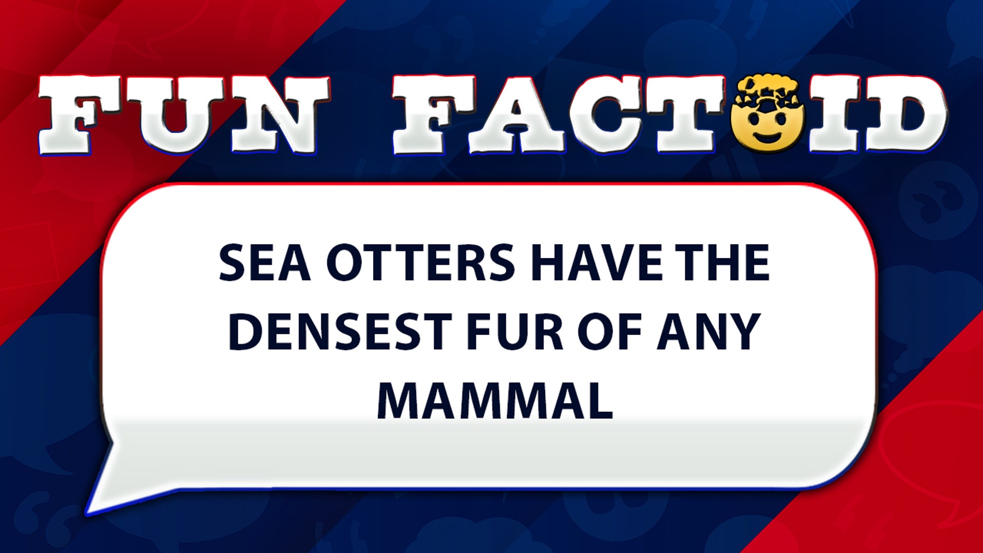 Sea otters have the densest fur of any mammal.
