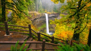 Man, 20, dies in 'horrific accident' after slipping from towering Oregon waterfall