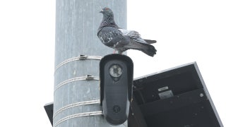 'Not 1984': Flock cameras watching millions of Americans spark bipartisan revolt