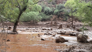 Urgent search underway for more than 20 people after Grand Canyon flash flood