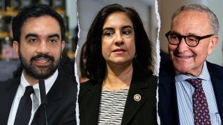 New York City’s lone Republican in Congress accuses Mamdani, Schumer of 'hypocrisy' in voter ID fight
