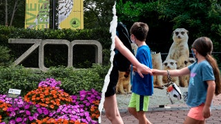 Gender equity, DEI, climate action: How the Smithsonian’s woke push ‘infiltrated’ America's most beloved Zoo