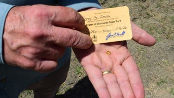 Grandfather finds hidden treasure in plain sight as park officials 'dumbfounded' by discovery - Fox News