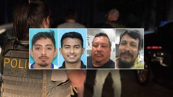 Seventy arrested as illegal immigrants surface in child predator dragnet: DHS - Fox News